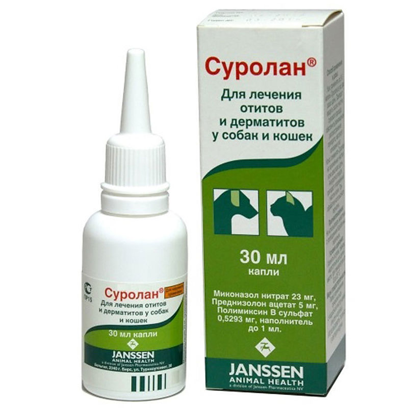 Цена колеблется от 700 до 1100 рублей. Цена колеблется от 700 до 1100 рублей.