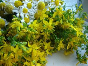 Чем лечат кожу головы после химического ожога