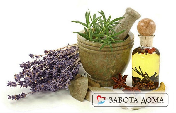 Народные средства при пролежнях Народные средства при пролежнях