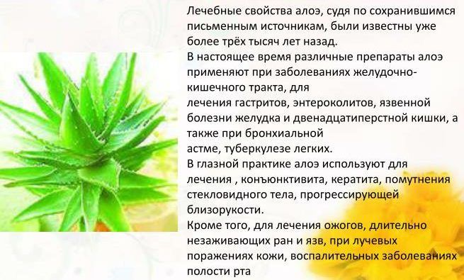 Целебные свойства