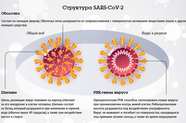 Как часто люди болеют пневмонией