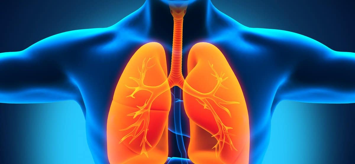 Механизм развития патолгии. Механизм развития патолгии.