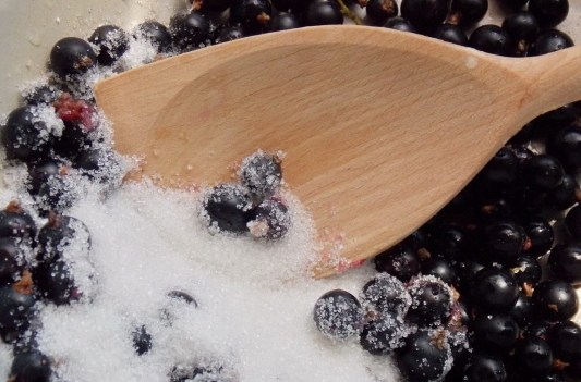 Ягоды черной смородины при подагре Ягоды черной смородины при подагре thumbnail