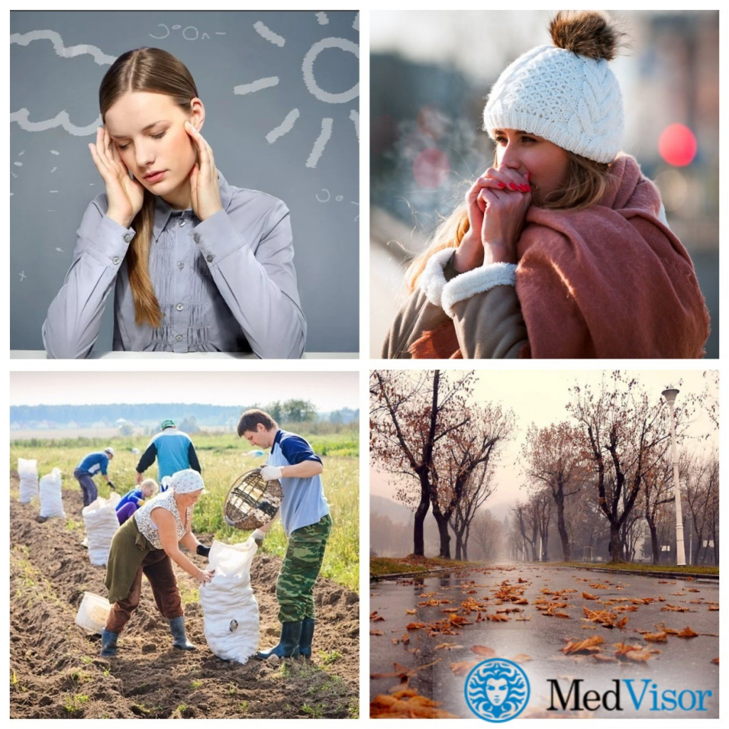 Причины обострения болей в спине осенью Обострение болей в спине весной