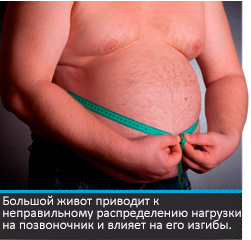 Живот и лишний вес вредят спины
