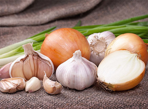 чеснок и лук